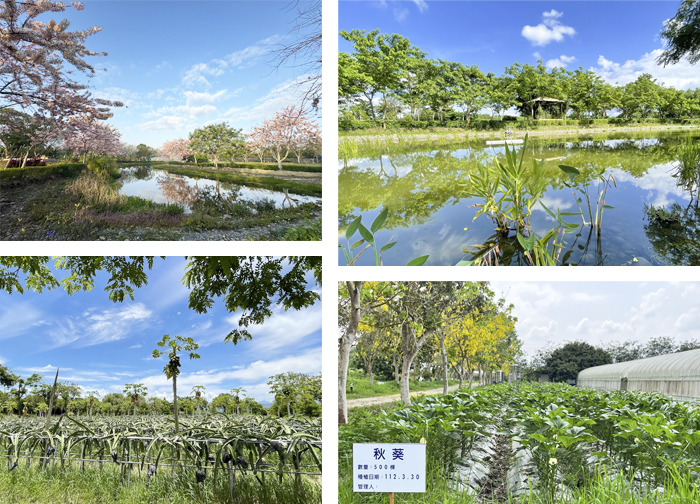 返老還童希望園區農場區照片組