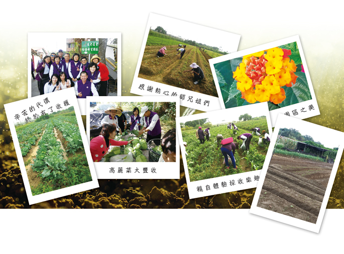 的台南之旅照片組