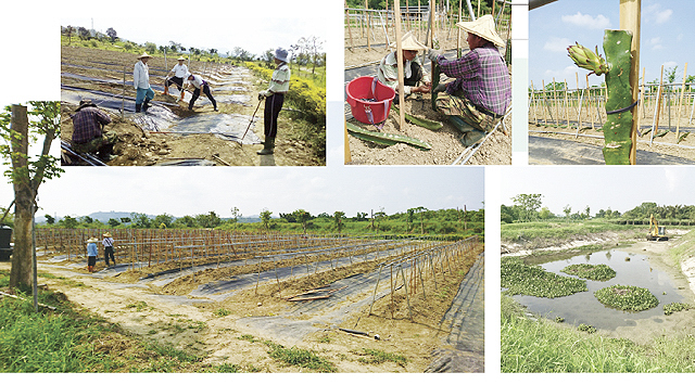 返老還童台南大內希望園區施工中的照片