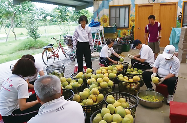 園區活動中心中師兄姐協助處理農產照片