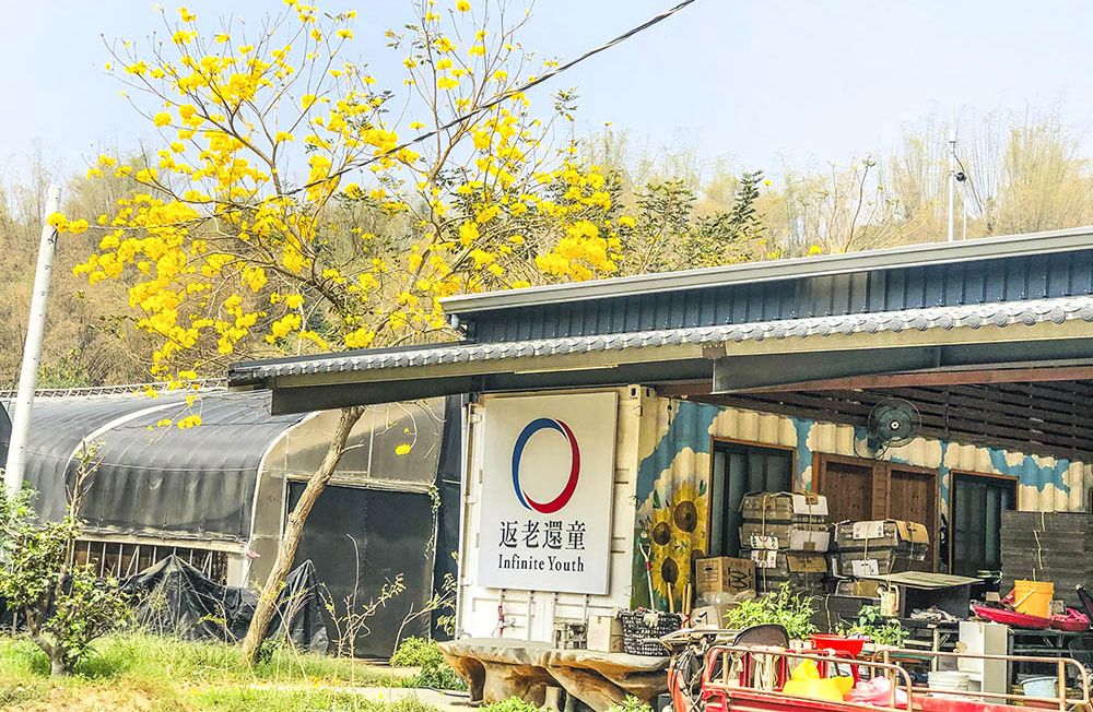 返老還童台南大內希望園農場照片