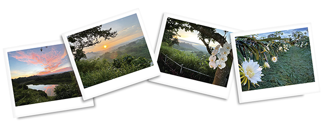 返老還童台南大內希望園區農場日出照片