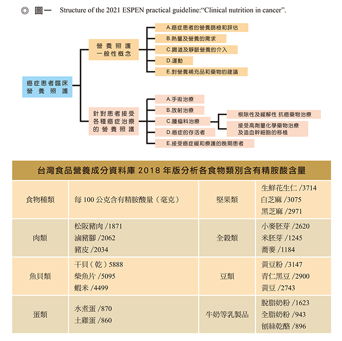 癌症的臨床營養圖表照片