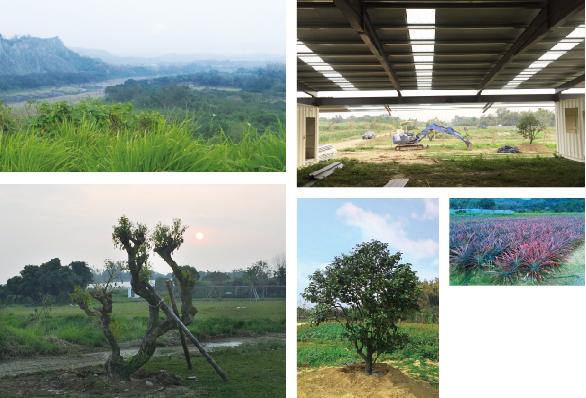 大內園區建設圖集錦