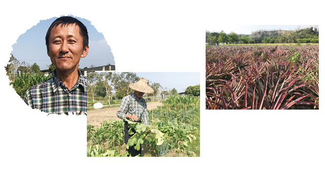 圖/老還童希望園區王盈智師兄照片