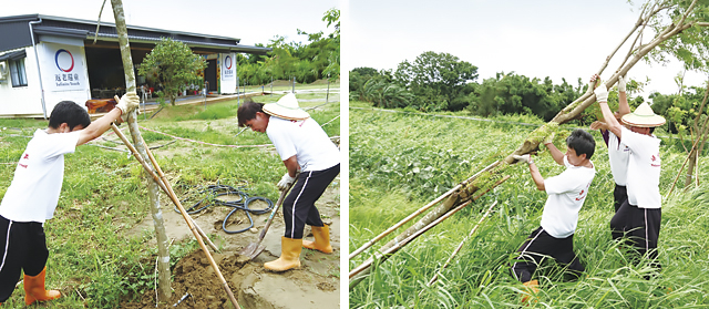 返老還童志工們整理風災後整理園區的照片